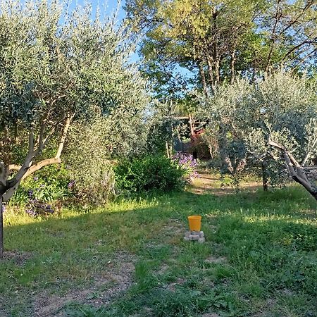 Studio 25M2 Avec Piscine Et Spa, Proche Iter Et Cadarache Apartamento Valensole Exterior foto