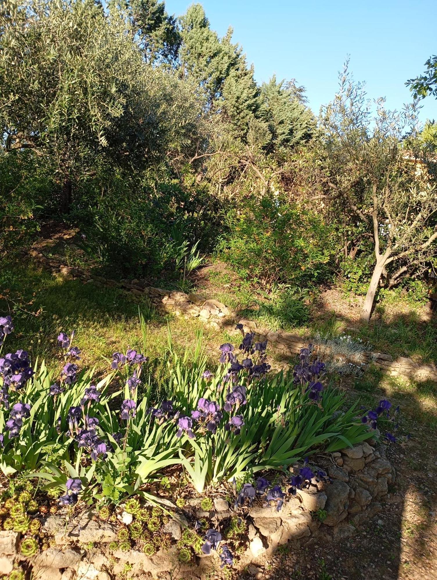 Studio 25M2 Avec Piscine Et Spa, Proche Iter Et Cadarache Apartamento Valensole Exterior foto