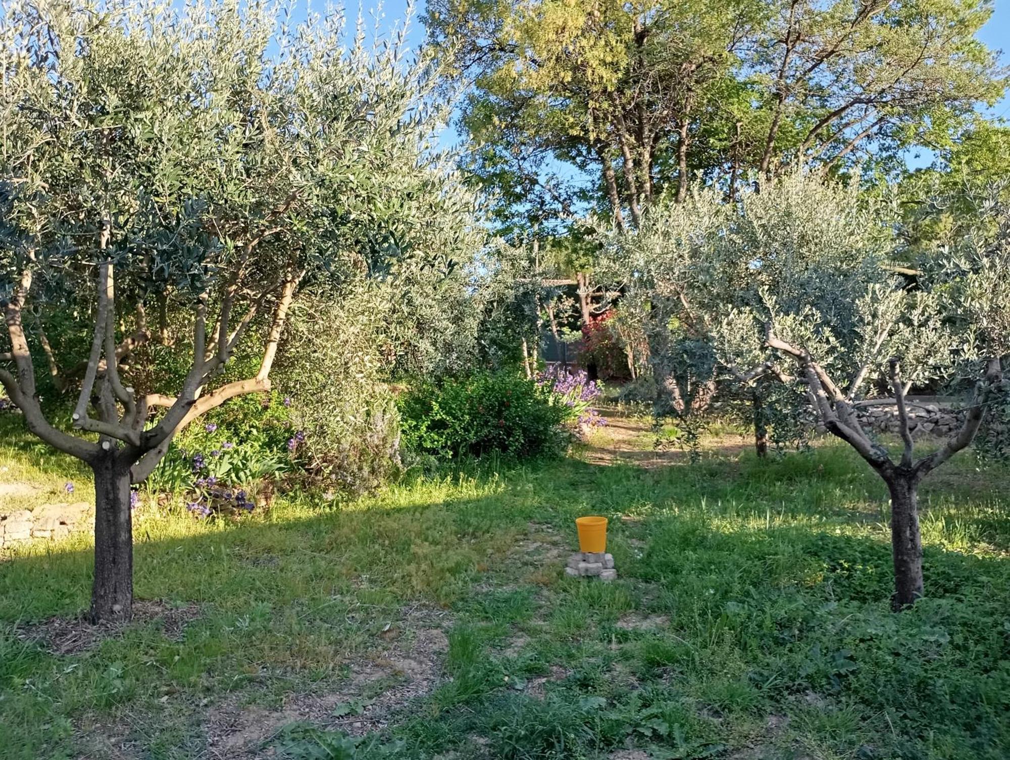 Studio 25M2 Avec Piscine Et Spa, Proche Iter Et Cadarache Apartamento Valensole Exterior foto
